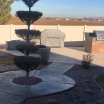 Water feature in backyard