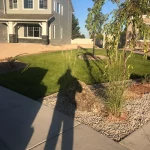 residential front yard