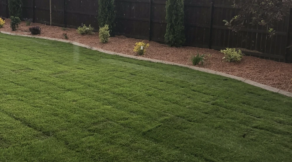 newly placed sod in a backyard